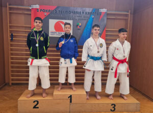 NOVIH 15 MEDALJ NA 2. POKALNI TEKMI KARATE ZVEZE SLOVENIJE