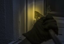 Policisti poročajo o dveh vlomih v Zasavju