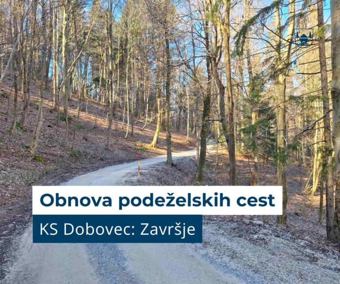 637823483_1356313692965821_666903760849373020_n